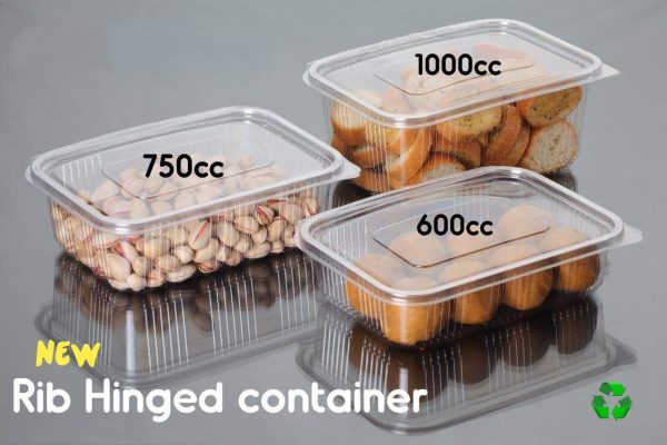 Hinged Container